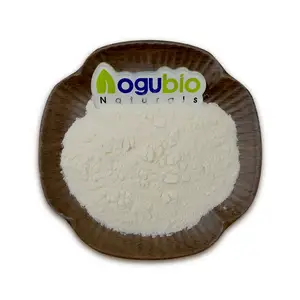 Bulk Supply Plant Extract Rice Protein 80% Powder Hydrolyzed Rice Protein Powder