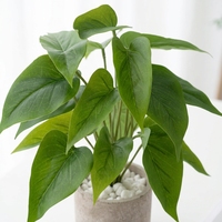 Pot Tanaman Artifisial Mkono Paper 11 inci, Modern Ramah Lingkungan, Hijau Abadi, Dekorasi Pernikahan, Paskah, Rumah, Kantor, Meja/Kamar (Abu-abu)