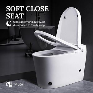 <span class=keywords><strong>WC</strong></span> intelligent avec bidet intégré, chasse <span class=keywords><strong>d</strong></span>'eau à pédale, lavage féminin/posterior, kit de raccordement <span class=keywords><strong>d</strong></span>'<span class=keywords><strong>angle</strong></span> pour <span class=keywords><strong>WC</strong></span> monobloc, siège chauffant, automatique - Product Image 2