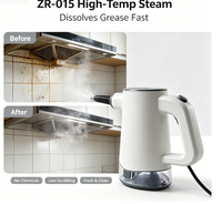 Nettoyeur vapeur portable à commande tactile électrique ZR-015, 2 vitesses de débit de vapeur réglables, haute température, utilisation domestique et extérieure, 1200W