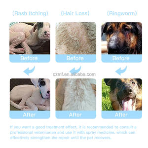 Private Label Biologische Veganistische Hondenshampoo Hondenverzorging Dispenserende Hondendouche Dieren Droogshampoo - Product Image 6