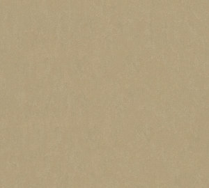 Papel pintado de Arte de lujo de Alemania, diseño minimalista marrón, Material de PVC ecológico para sala de estar, decoración del hogar, gran oferta - Product Image 2