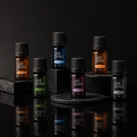 Ensemble de flacons de toilettage masculin vides OEM ODM, diffuseur bleu royal, flacon pulvérisateur vert, compte-gouttes en verre, emballage cadeau pour parfum
