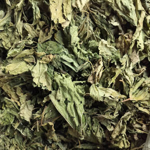 Tongjin Atacado <span class=keywords><strong>Mulberry</strong></span> Leaf <span class=keywords><strong>Tea</strong></span> Cuidados Saudáveis Chinese Herbal Bulk <span class=keywords><strong>Tea</strong></span> para Venda - Product Image 2