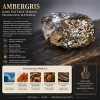 Ambregris Xanadu, matière première naturelle rare de parfum marin pour huile/parfum/teinture/poudre/encens/collection