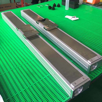 Rail de guidage linéaire électrique automatisé personnalisable 50-800 mm, actionneur de scène, moteur à engrenages PLC, acier inoxydable, CNC à billes