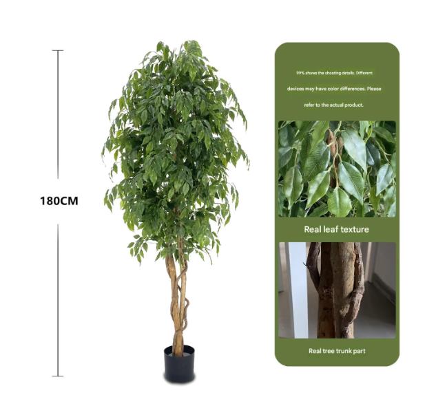 Pot noir de 1,8 m (arbre de banian à densité accrue)