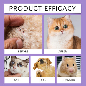 สเปรย์กำจัดปรสิตภายนอกสำหรับสัตว์เลี้ยง ทำความสะอาดไรและเห็บบนขนสุนัขอย่างอ่อนโยน ซึมซาบง่าย ระคายเคืองน้อย ให้การดูแลที่สบายใจ - Product Image 5