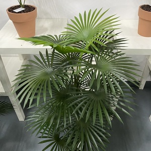 Palmo artificiale di plastica ad alta simulazione di 1.5m per la decorazione del negozio dell'ufficio del giardino di casa - Product Image 3