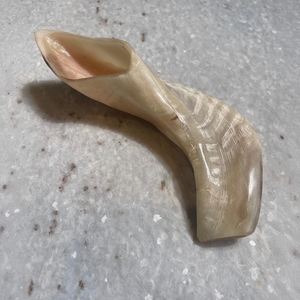 Cuerno de Shofar de Carnero Natural Pulido - Decoración Religiosa Ecológica para el Hogar de Alta Calidad - Product Image 1