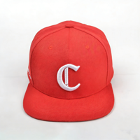 Gorras Clásicas de Seis Paneles Ajustables con Cierre a Presión, Bordado Rojo Personalizado, Transpirables, Impermeables, Unisex, Gorras de Béisbol con Diseño Animal