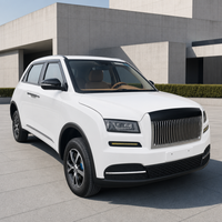 Voiture électrique intelligente de luxe, véhicule à énergie nouvelle pour adultes, SUV électrique longue portée pour les trajets urbains haut de gamme