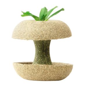 Barra de Masticar de Núcleo de Manzana para Hámster, Juguete Duradero para Mascotas de Interior, 75G - Product Image 2