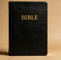 Bibles à couverture rigide recouvertes de cuir, KJV, grand format, pour jeunes hommes, avec Bible de journalisation NKJV, estampage dorée, impression offset