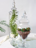 Grand bocal de rangement européen en verre à pointe avec couvercle transparent Modèle de table à dessert de mariage moderne pour la décoration de salle de cuisine