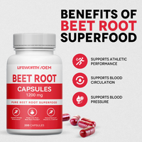 Les capsules de poudre de racine de betterave LIFEWORTH OEM soutiennent le système digestif et immunitaire