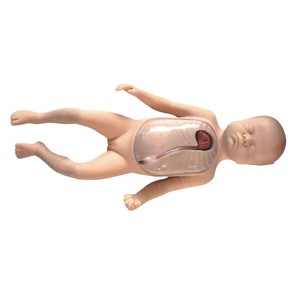 Modelo avanzado de cateterización venosa central periférica neonatal; entrenamiento en cateterización venosa central periférica pediátrica - Product Image 3