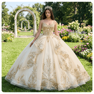 Dy20252 Champagne Ball Gown Quinceanera Dress Birthday Party Chiffon Lace Appliques Sweetheart Neck Natural Built-in Bra Vintage - Product Image 1
