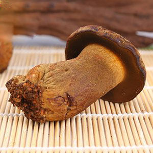 Hongo salvaje <span class=keywords><strong>fresco</strong></span> salvaje de alta calidad Detan Porcini Yunnan Wild <span class=keywords><strong>Boletus</strong></span> con <span class=keywords><strong>precio</strong></span> al por mayor - Product Image 5