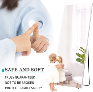 Toàn Bộ Chiều Dài Cơ Thể Mặc Quần Áo Lên Phòng Khách Khung Kim Loại <span class=keywords><strong>Fancy</strong></span> Thường Vụ Bạc Gương - Product Image 4