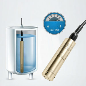 เครื่องมือวัดระดับอุตสาหกรรมสแตนเลส 4-20ma 0.5-4.5V เครื่องมือวัดระดับ - Product Image 2