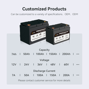 Batería de iones de sodio personalizada de baja temperatura Wiren, batería de arranque de 12V 24V 48V 200Ah 300Ah IP65, soluciones personalizadas para vehículos recreativos y marinos - Product Image 2