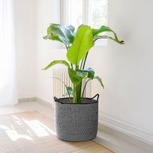 <span class=keywords><strong>Pots</strong></span> suspendus succulents grand support de plante panier de rangement en coton épais bohème fil mural avec coquille de noix de coco en bois - Product Image 1