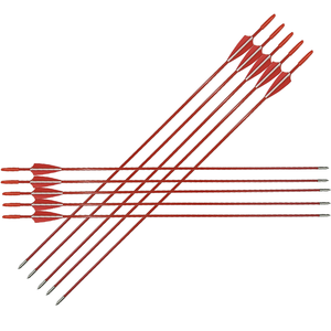 ลูกธนูไฟเบอร์กลาสสำหรับใช้ในการยิงธนูคันธนูโค้งและคันธนูแบบคอมโพสิต - Product Image 1