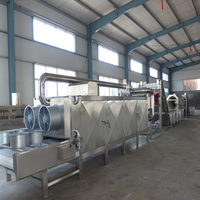 China Fabriek Tekfood Fruit Drogen Productielijn Continue Hetelucht Droger Machine Chili Hetelucht Mesh Band Droogmachine