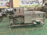 Commerciële groente-fruit-garnalen reinigings- en bubbelfruitwasmachine