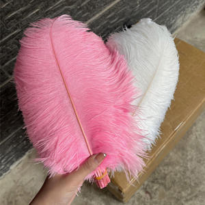 Plumes d'autruche teintées spectaculaires de 30-35 cm (50 pièces/sac) – Couleurs personnalisables – Marque HKFeathers pour mariages thématiques et burlesque - Product Image 1