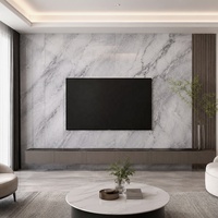Revêtement mural décoratif résidentiel WYRAX en PVC imitation marbre gris clair Carrara, épaisseur 3,5 mm, 4x8 pieds, pour fond de télévision