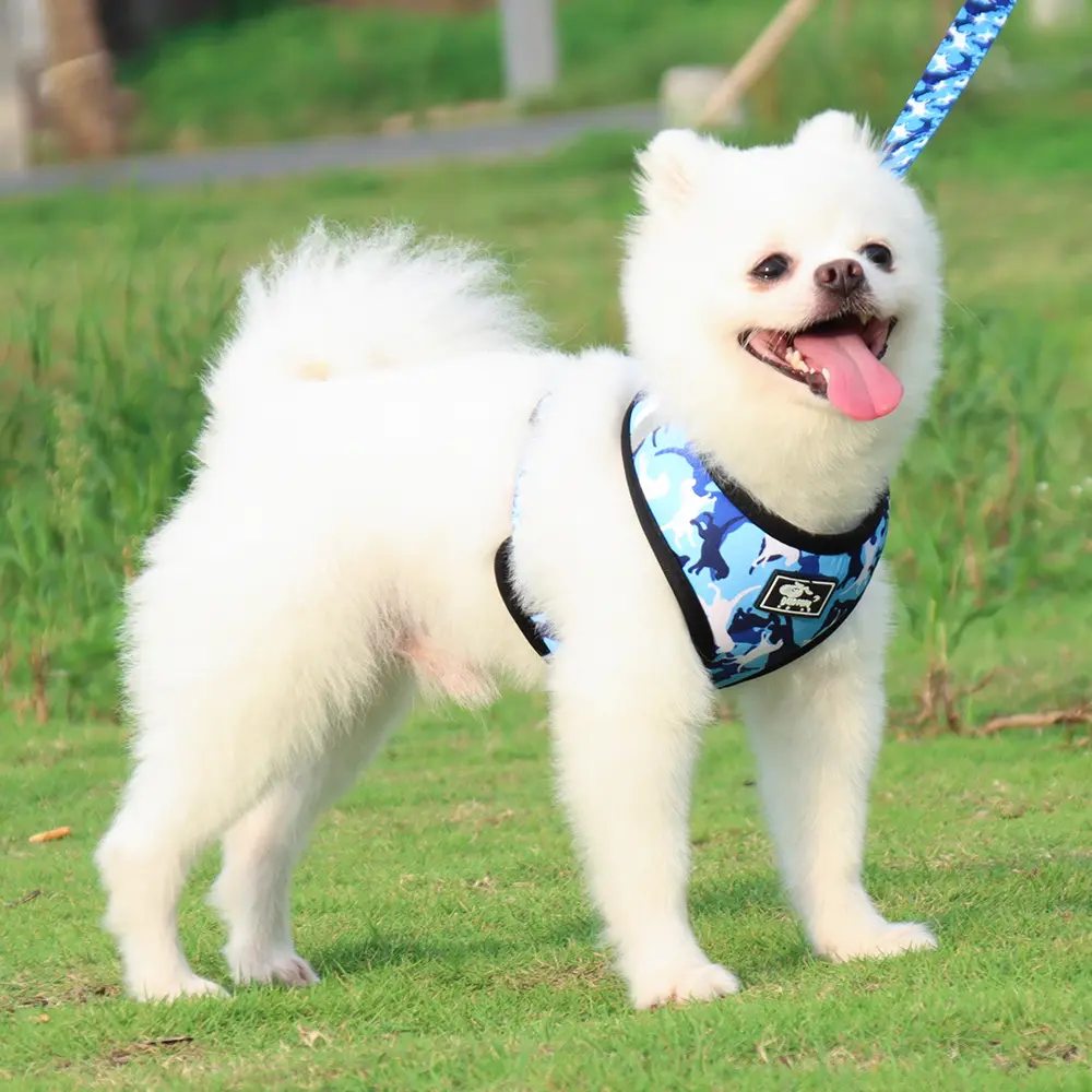 Gilet per imbracatura per cani da passeggio per cuccioli da passeggio per Fitness all'aperto regolabile di alta qualità
