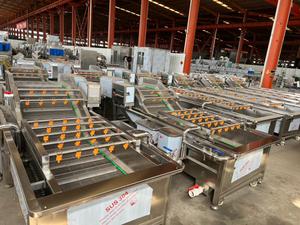 गाजर आलू खीरे के लिए अक्स सब्जी फल वॉशर बबल वॉशर बबल वॉशर बुलवाशिंग लाइन - Product Image 2