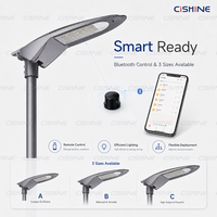 Lampadaire LED extérieur étanche Cishine 30W 60W 80W 90W 120W 150W 180W IP66 en aluminium moulé sous pression pour routes urbaines, parcs et places publiques