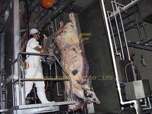 WFA carcassa di manzo spacco sega Per mucca macchina Per il taglio della carne <span class=keywords><strong>macello</strong></span> Per <span class=keywords><strong>macello</strong></span> macellazione 60 bovini al giorno ora - Product Image 4