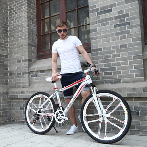 L'importateur hachoir pièces <span class=keywords><strong>de</strong></span> rechange pour adultes route vtt pliable pour enfant 26 pouces enfant <span class=keywords><strong>chaine</strong></span> hybride plié remorque vélo - Product Image 4