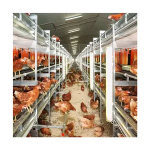 家禽养殖场自动H框架镀锌层蛋鸡电池笼家禽设备鸡
