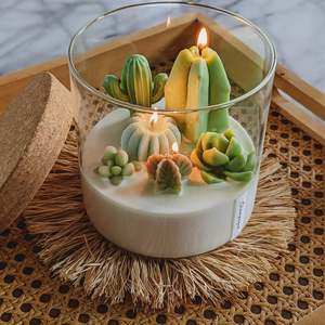 Vela <span class=keywords><strong>de</strong></span> Cera <span class=keywords><strong>de</strong></span> Soja con Aroma a Cactus y Plantas Suculentas, Maceta Decorativa Creativa para Festivales, Adorno Festivo con Fragancia para Dormitorio - Product Image 1