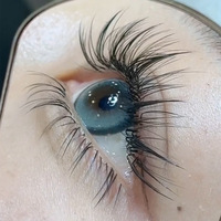 Extensions de cils pré-faits en éventail 5D Camellia multi-couches, effet naturel et volumineux, cils en grappe, légers et doux LC/LD