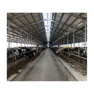 Легкая стальная конструкция коровья ферма здание стальная конструкция коровья Молочная Ферма для продажи