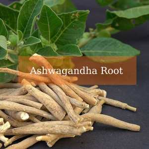 Oem/odm ashwagandha שורש תה תוספת צמחים טבעי למבוגרים לשפר את מצב הרוח ואת השינה לא לנשים בהריון - Product Image 3