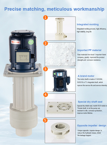 Pompe centrifuge verticale en fer 220V/380V pour eaux chimiques, haute résistance aux acides et alcalis, personnalisable ODM/OEM pour le traitement des eaux usées - Product Image 3