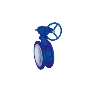 Full <b>PTFE</b> Lined Ductile Iron DN250 Worm Gear Concentric - Product Image 4