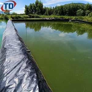 Geomembrana Impermeable Azul Verde para Revestimiento de Piscifactorías 0.75mm 1mm 1.5mm Revestimiento para Estanques de Camarones Geomembrana de HDPE 60mil 500micron - Product Image 6