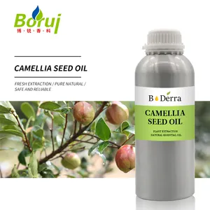 Wholesale Bulk Price Cold Pressed Camellia Oleifera Seed Oil 100% Pure Organic Refined Chinese Natural Camellia Seed Oil