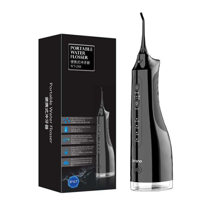 Home Portable Oral Irrigator 310ml Detachable