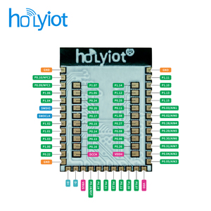 Horyiot hoàn toàn mới chip nrf52840 lưới tầm xa điều khiển truyền dữ liệu mô-đun <span class=keywords><strong>Bluetooth</strong></span> - Product Image 2