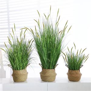 Plantes artificielles blanches réalistes en gros, verdure, mur <span class=keywords><strong>de</strong></span> fleurs, décoration intérieure, <span class=keywords><strong>herbe</strong></span> <span class=keywords><strong>de</strong></span> roseau artificielle <span class=keywords><strong>de</strong></span> Chine - Product Image 1
