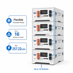 Batterie solaire hors réseau 51,2 V 314 Ah 16,08 kWh LiFePO4, pack de batteries au lithium à cycle profond pour système photovoltaïque - Product Image 2